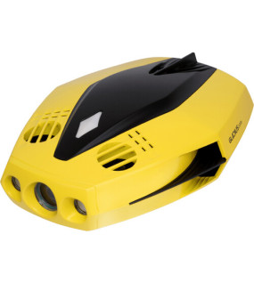 CHASING DORY Underwater ROV