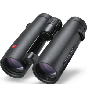 Leica 10x42 Noctivid Binoculars Black