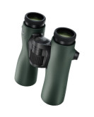 SWAROVSKI OPTIK 10x42 NL Pure Binoculars Green