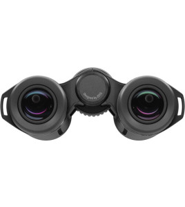 ZEISS 10x30 SFL Binoculars