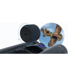 ZEISS 10x32 Victory SF Binoculars